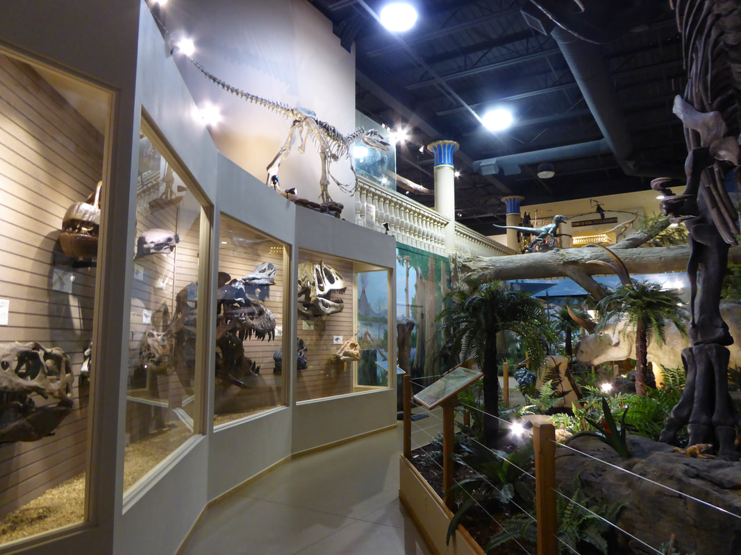 Exploring The Dinosaur Store & Museum - World Decoded